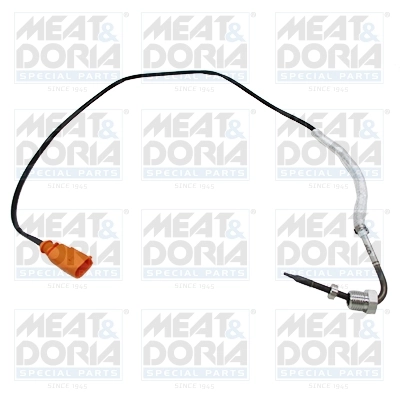 Sensor, exhaust gas temperature